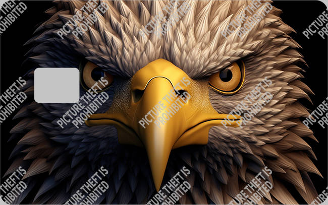 Bank  Card Sticker-BC-1991